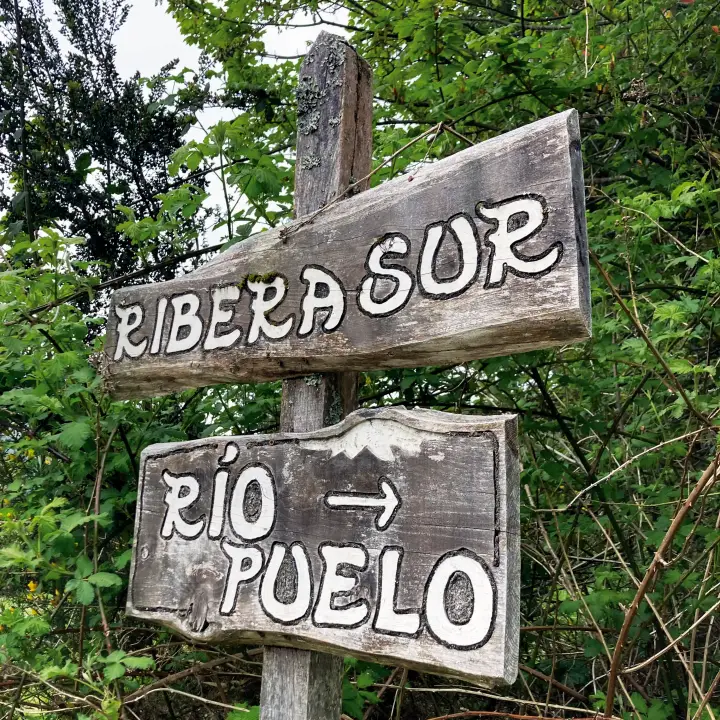 IniciativaColaborativa