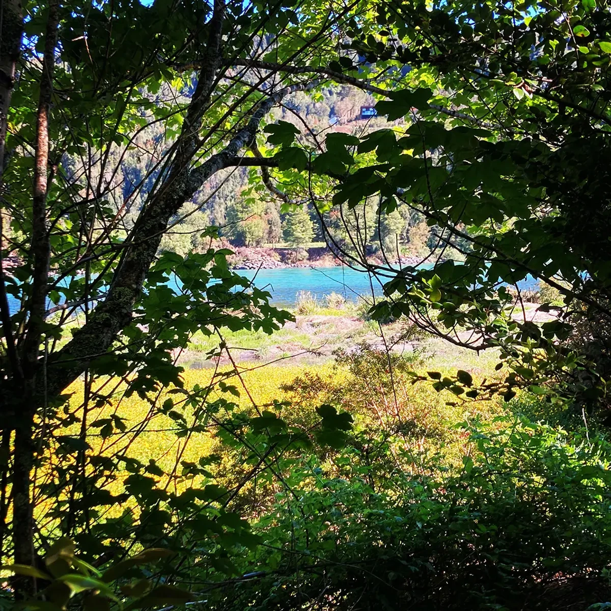 Sendero Bosque: Percibiendo la naturaleza