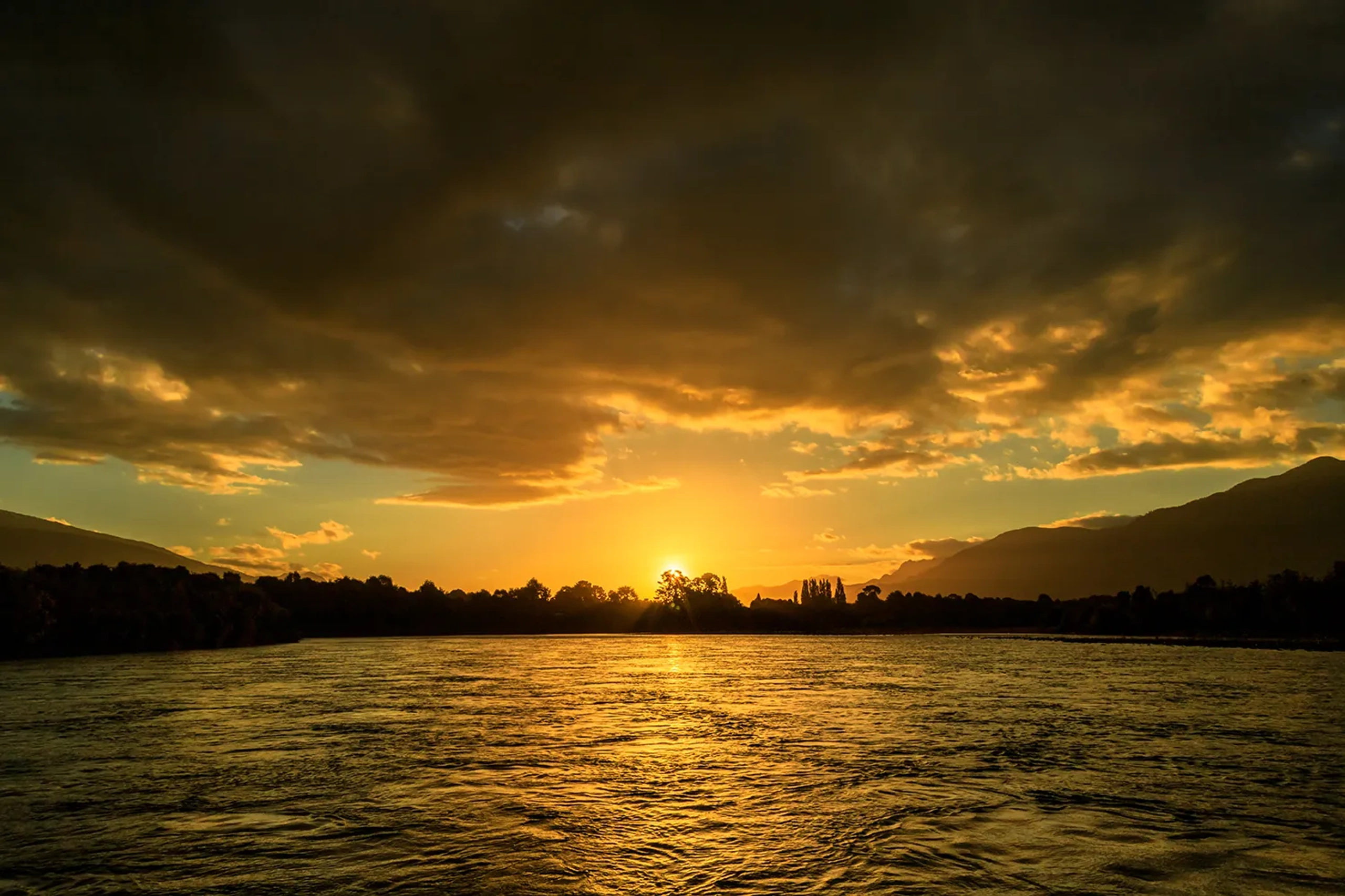 Galería - Una mirada fascinante