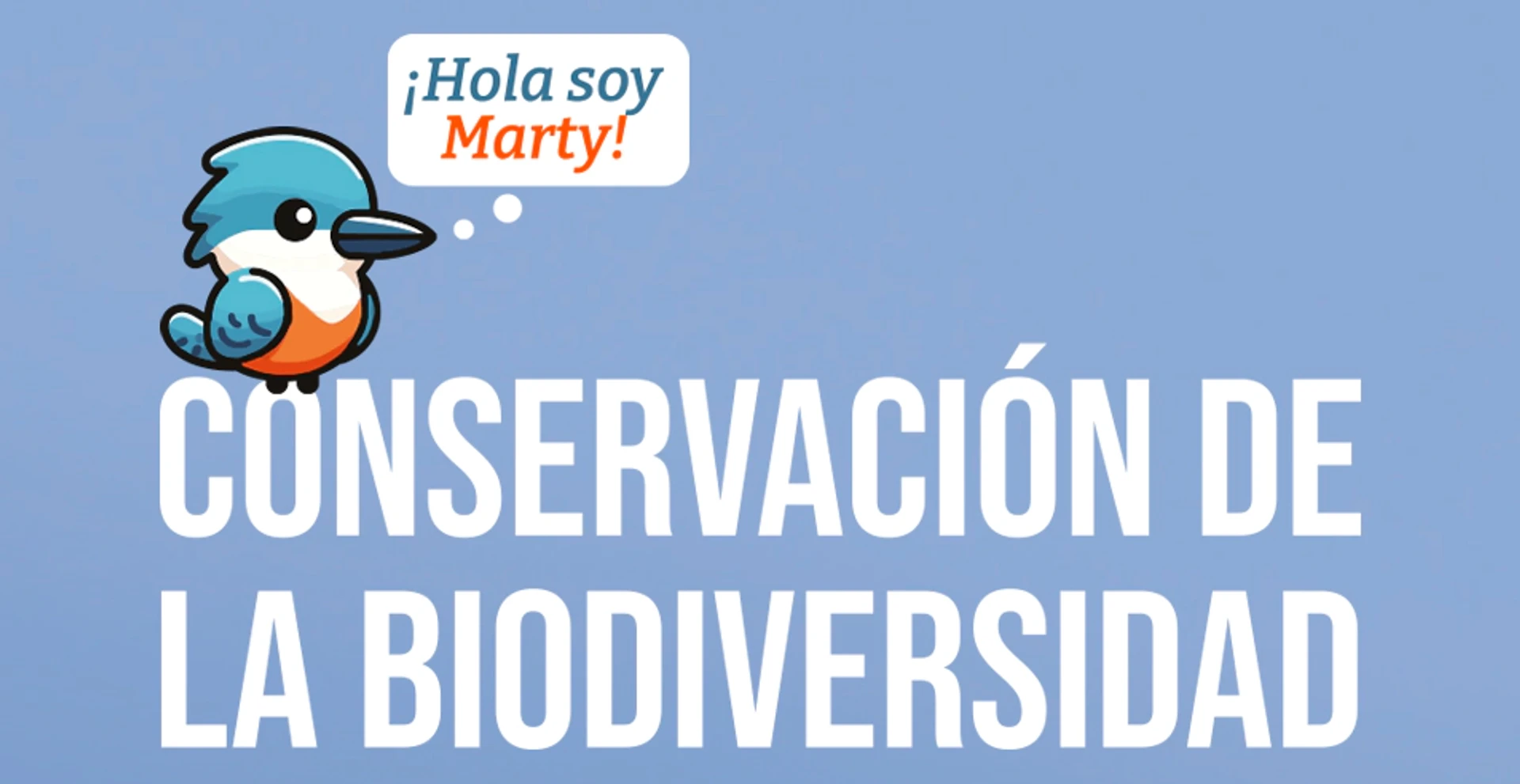 Marty: El Martín Pescador del Río Puelo